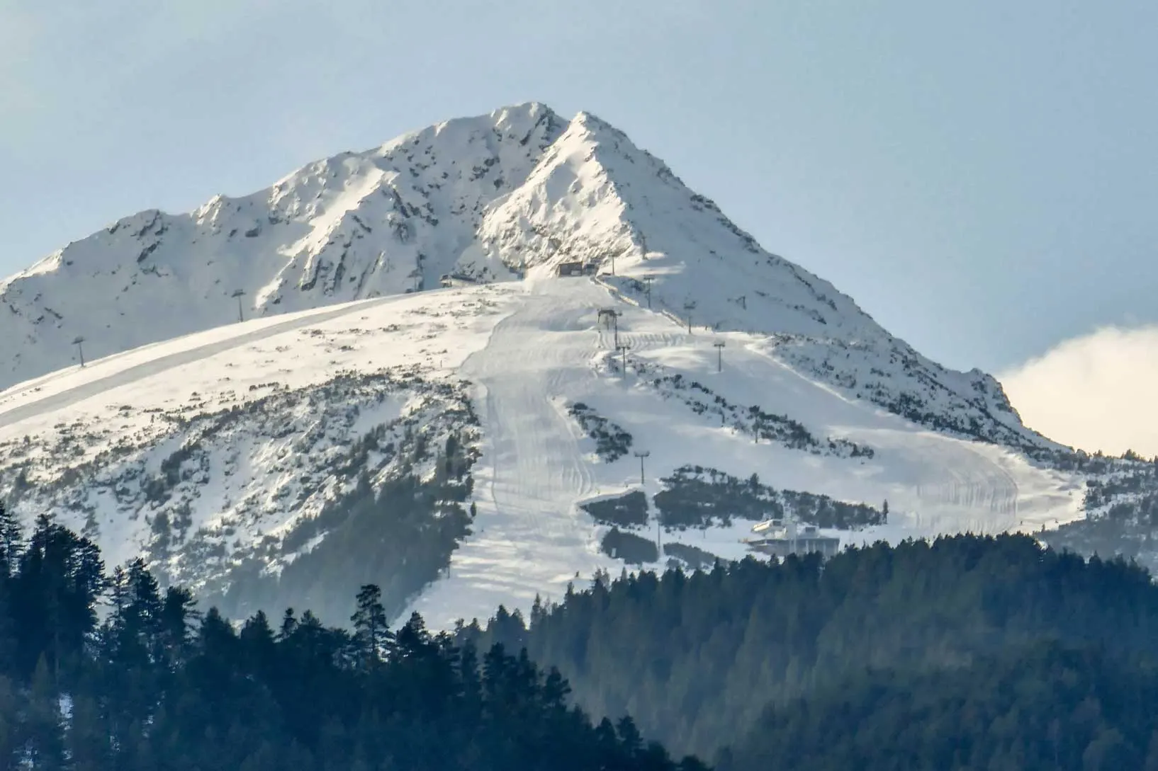 A snow-covered Pirin peak above a coniferous forest
